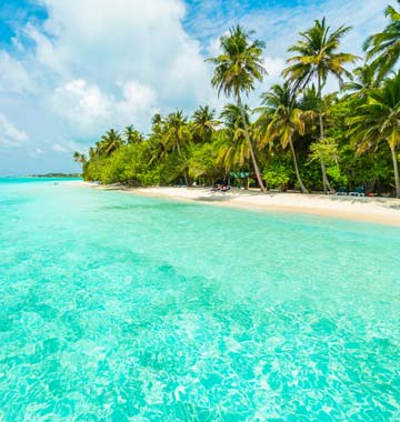 Lakshadweep Cruise